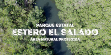 Estero El Salado cumple 26 años como símbolo de conservación en Puerto Vallarta